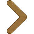 Icono PAZUSA