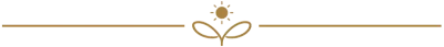 Icono PAZUSA